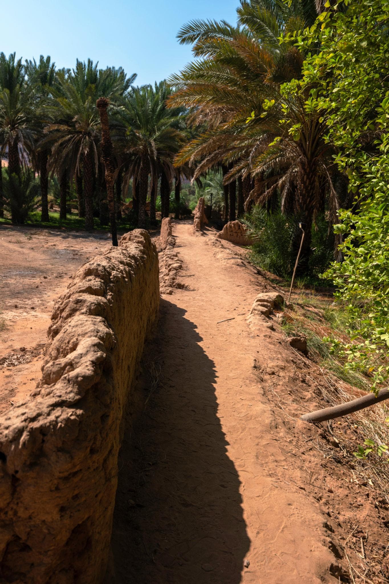 AlUla: Oasis Heritage Trail Tour